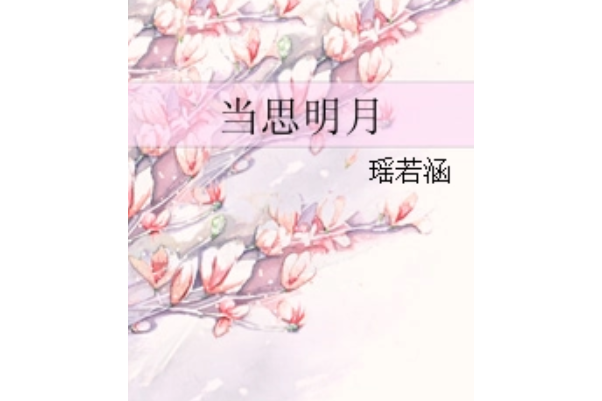 當思明月 當思明月