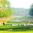 古宋河 古宋河