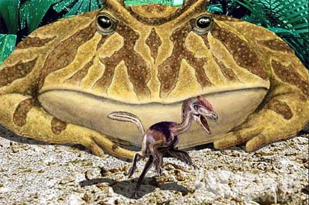 魔鬼青蛙與剛出生的恐龍對比圖