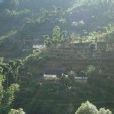 村子河村 村子河村