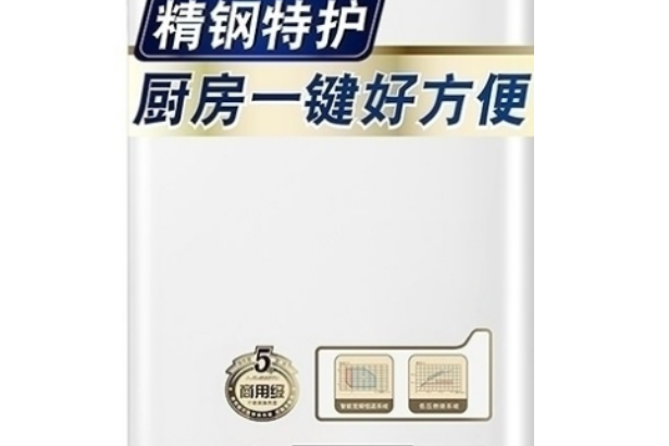 A.O.史密斯JSQ33-VT01 A.O.史密斯JSQ33-VT01