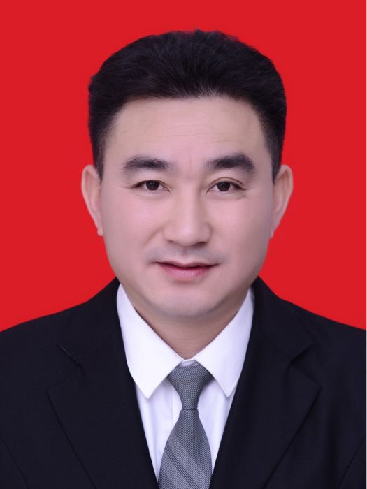 文衛華(湖南省益陽市桃江縣自然資源局黨組成員、副局長)