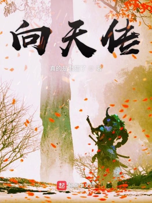 向天傳 向天傳