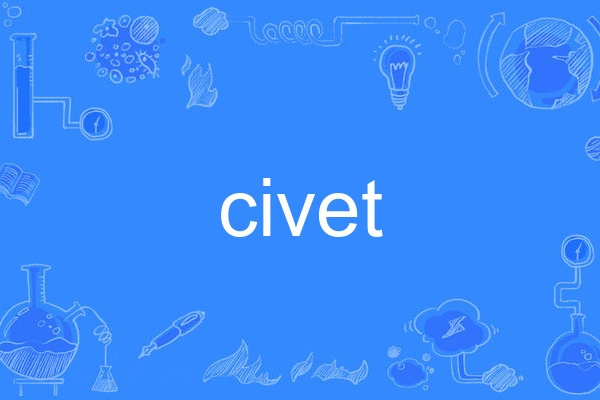 civet