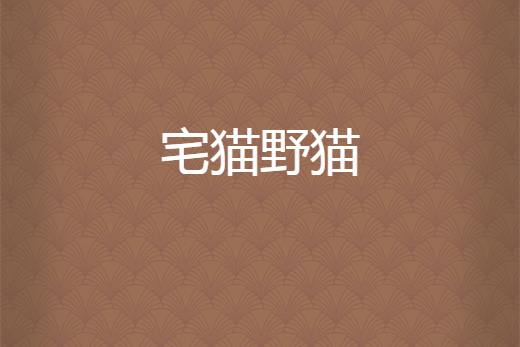 宅貓野貓