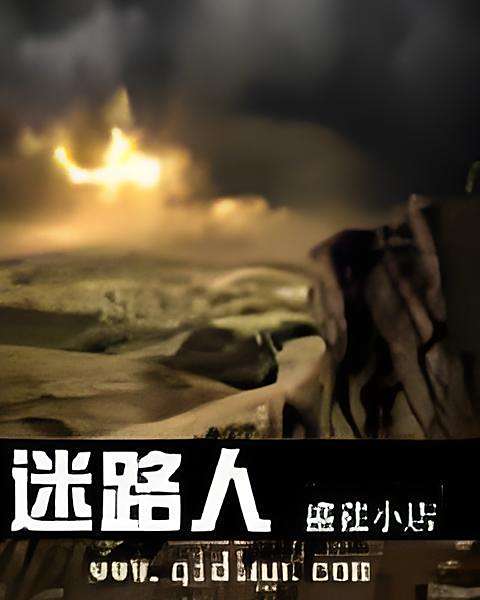 迷路人(盛莛小店創作的網路小說) 迷路人(盛莛小店創作的網路小說)