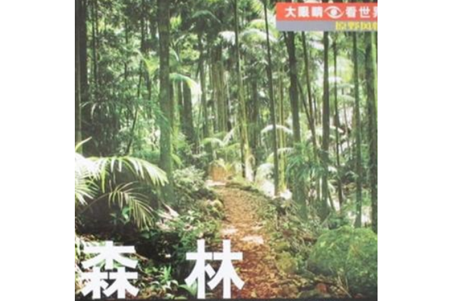 森林(2008年少年兒童出版社出版的圖書) 森林(2008年少年兒童出版社出版的圖書)