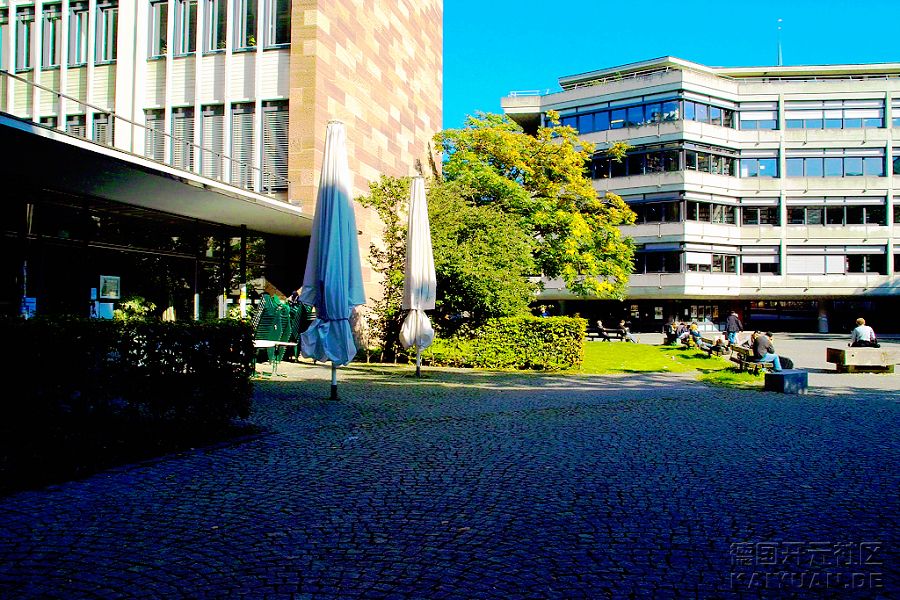 弗賴堡大學(德國弗萊堡大學)