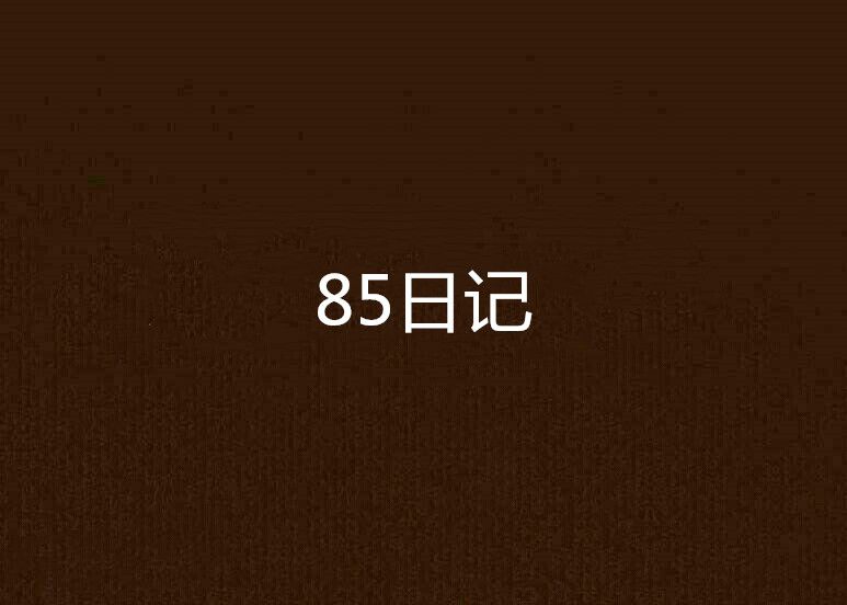 85日記