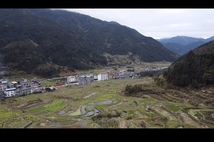 銅梨屯 銅梨屯