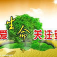 類型安全 類型安全