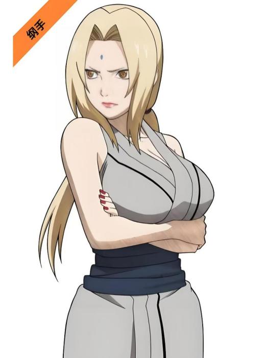 綱手(《海賊:從俘獲海軍女神開始無敵》的女角色) 綱手(《海賊:從俘獲海軍女神開始無敵》的女角色)