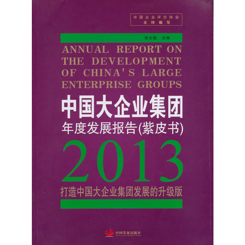 中國大企業集團年度發展報告·2013