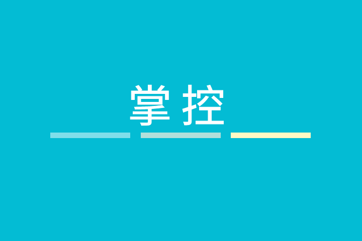 掌控(漢語辭彙) 掌控(漢語辭彙)
