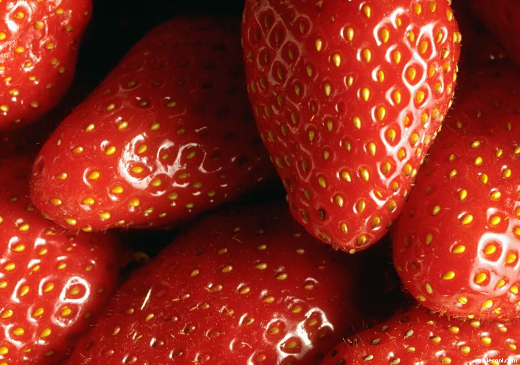 新型草莓