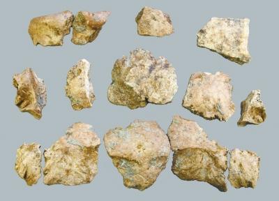 “許昌人”2號頭骨化石部分斷塊