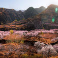 程家溝村(山東省煙臺市海陽市徐家店鎮程家溝村) 程家溝村(山東省煙臺市海陽市徐家店鎮程家溝村)