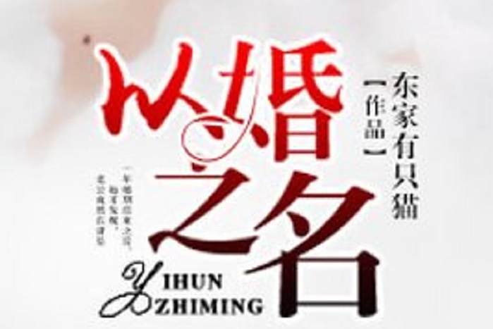 以婚之名(東家有隻貓所著小說) 以婚之名(東家有隻貓所著小說)
