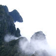 廣西大瑤山國家級自然保護區