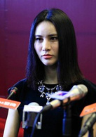 女王駕到(2014年湖南衛視製作電視劇)