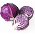紫甘藍(紫椰菜)