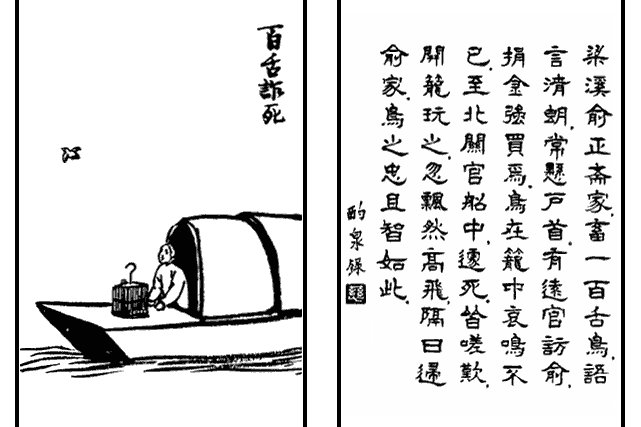 百舌詐死 百舌詐死