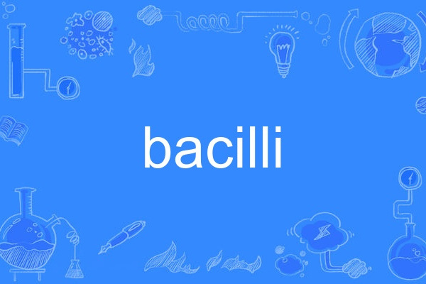 bacilli bacilli