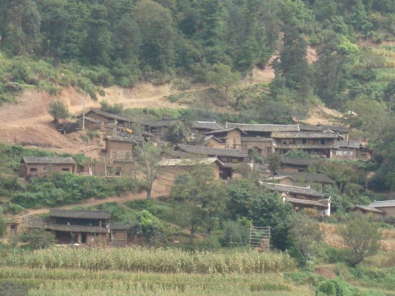 得來咪村 得來咪村