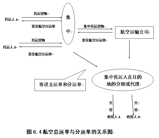 航空總運單與分運單的關係圖