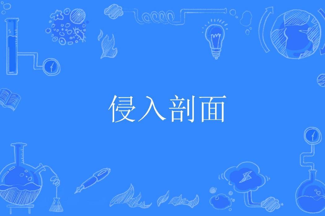 侵入剖面 侵入剖面