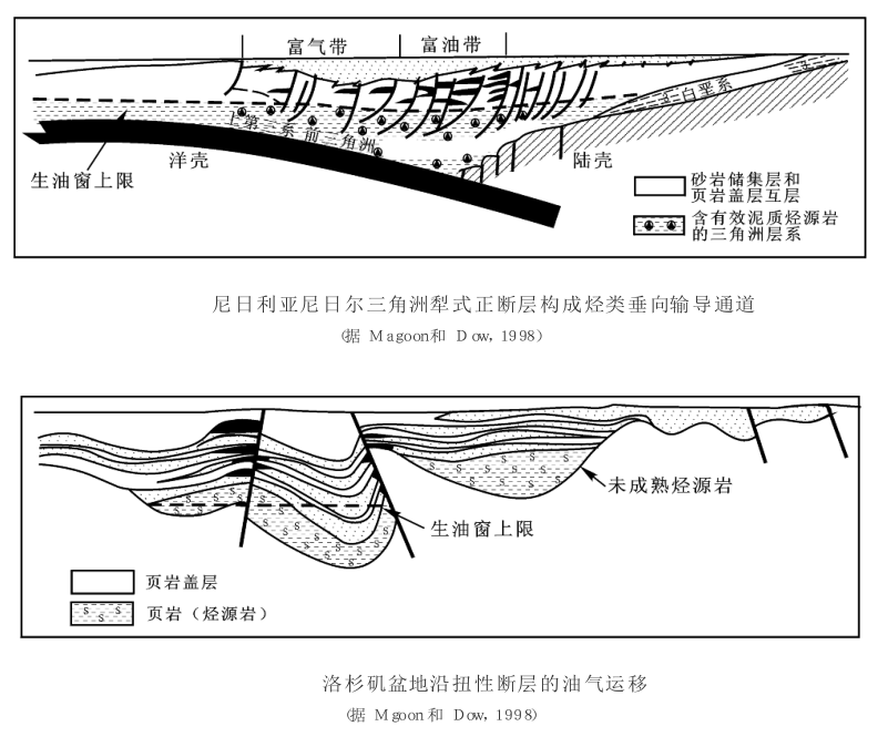 輸導體