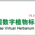中國數字植物標本館