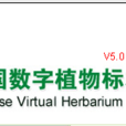 中國數字植物標本館(cvh)