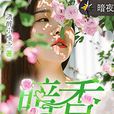 暗香(暗夜文學網小說)