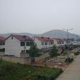 李范村 李范村