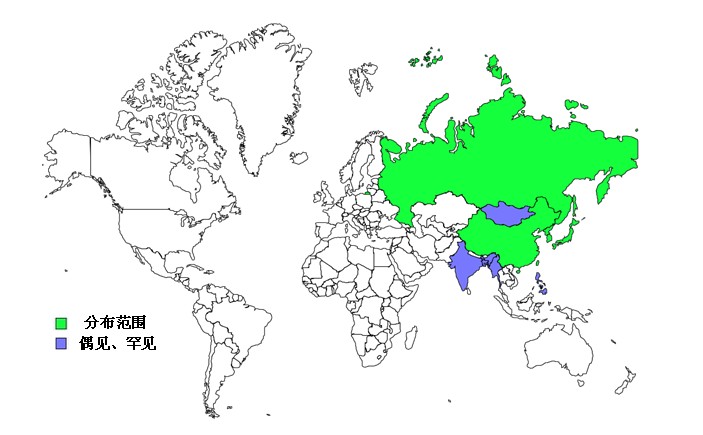 東方白鸛世界分布圖