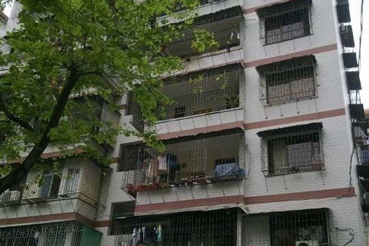 鳳儀路小區 鳳儀路小區