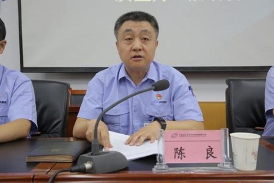 陳良(XD光電股董事) 陳良(XD光電股董事)