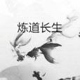 煉道長生 煉道長生