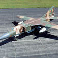 米格-23戰鬥機(鞭撻者（俄制米格-23戰鬥機的北約代號）)