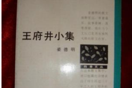 王府井小集 王府井小集
