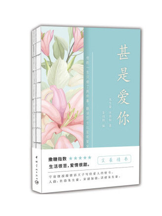 甚是愛你 甚是愛你