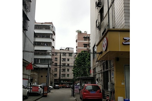 金子苑