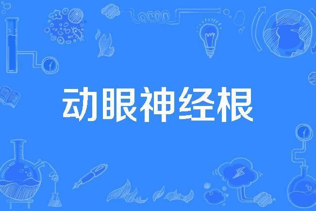 動眼神經根 動眼神經根