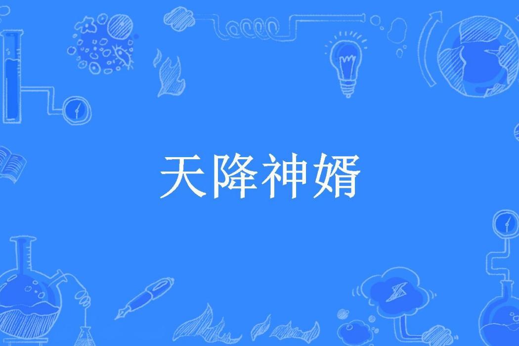 天降神婿(人間正道所著小說) 天降神婿(人間正道所著小說)