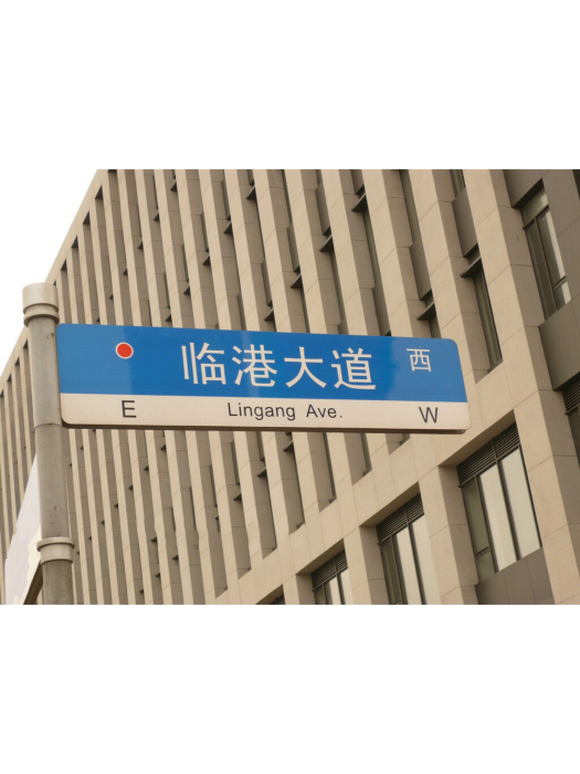 臨港大道(上海市浦東新區道路) 臨港大道(上海市浦東新區道路)