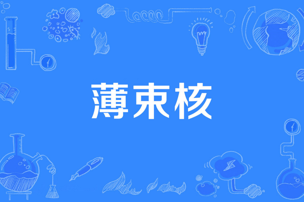 薄束核 薄束核