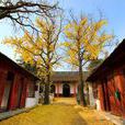 湖熟清真寺 湖熟清真寺