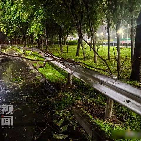 颱風樺加沙(樺加沙)