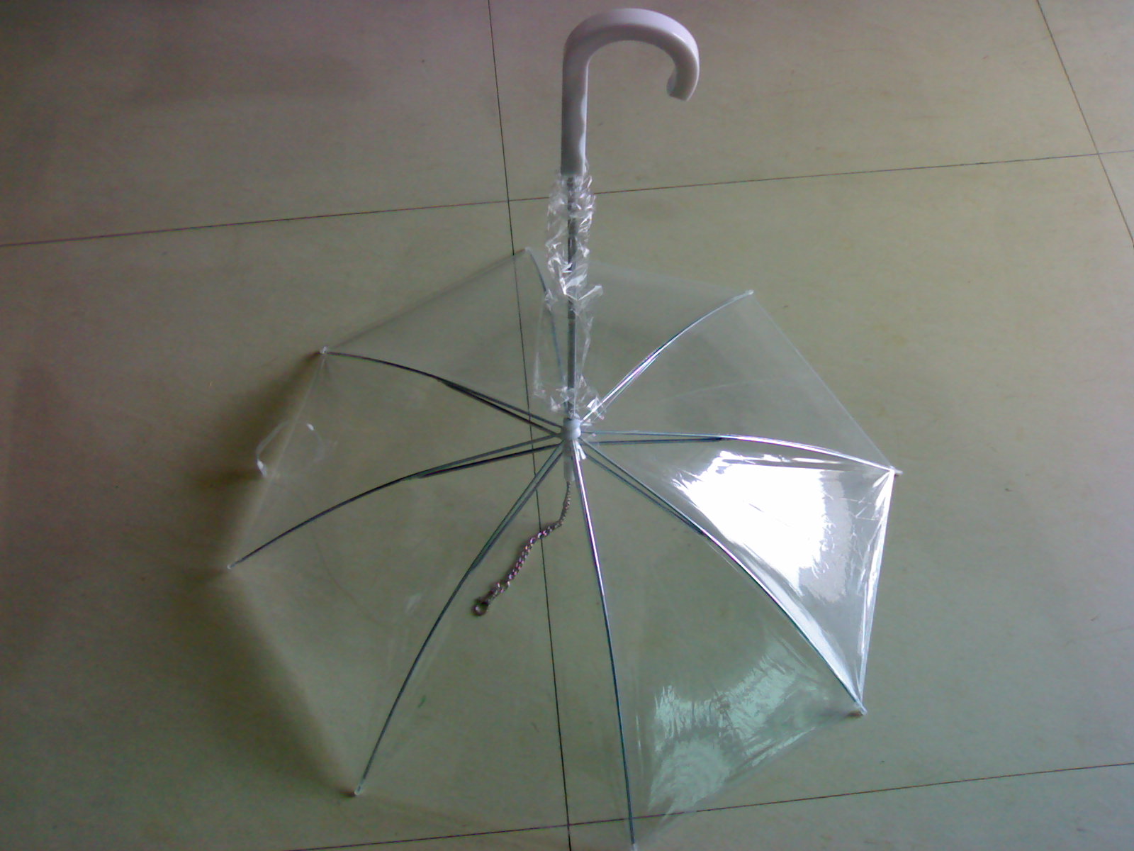 寵物雨傘